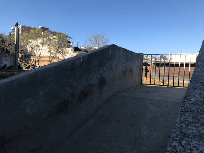  Rampa por la que los animales llevados al matadero ingresan a los corrales. Estas estructuras son consideradas como inadecuadas para la anatomía de los animales. Foto: Andrea Rodríguez 