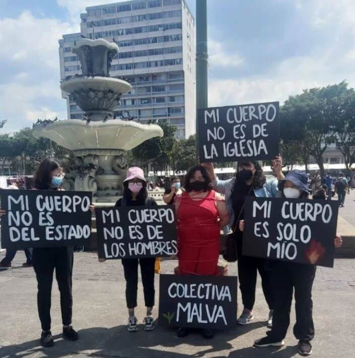  Foto: Malva 
