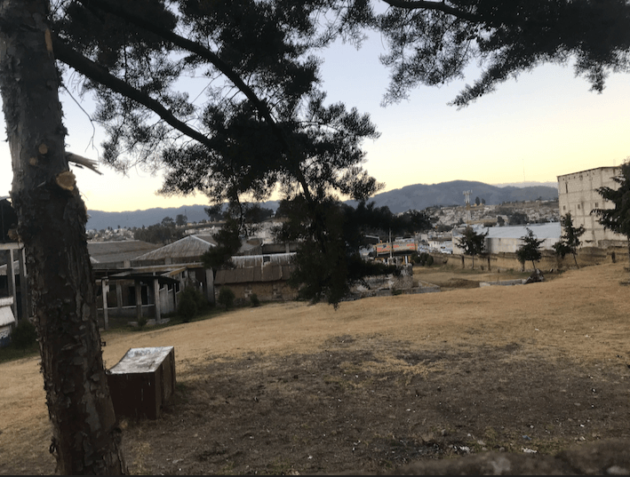  Campo donde se desechaban los cadáveres de animales no vendidos. Al fondo se encuentra la fosa donde aún desechan los restos de animales que no se lleva el camión municipal. Foto: Andrea Rodríguez 